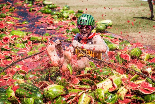 В Австралии пройдет арбузный фестиваль В Австралии пройдет арбузный фестиваль