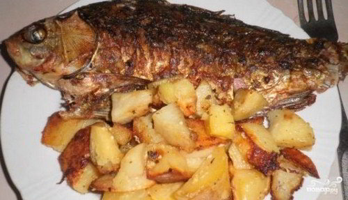 Фаршированный карась со сметаной и картофелем. Фото. Карась фаршированный помидорами со сметаной и картофелем. Рецепт.
